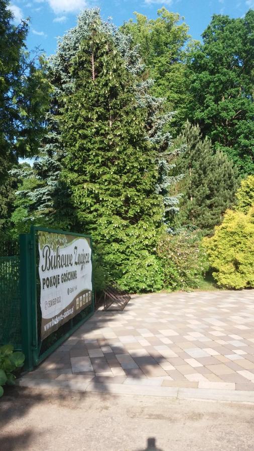 Bukowe Zacisze Apartman Gąski Kültér fotó
